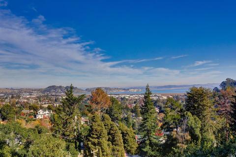7 Merry Ln, Corte Madera, CA 94925 photo 45