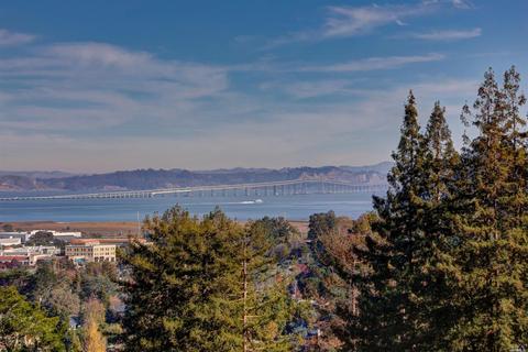 7 Merry Ln, Corte Madera, CA 94925 photo 46