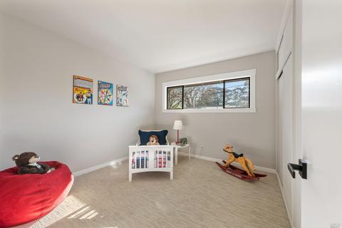 232 Marin Ave, Mill Valley, CA 94941 photo 17