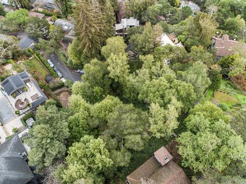 220 Morningside Dr, Corte Madera, CA 94925 photo 9