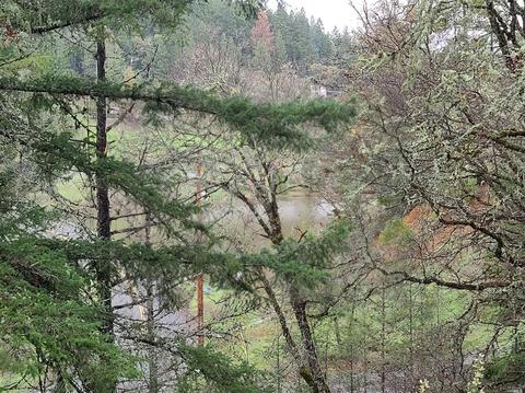 3990 Chinquapin Dr, Willits, CA 95490 photo 7