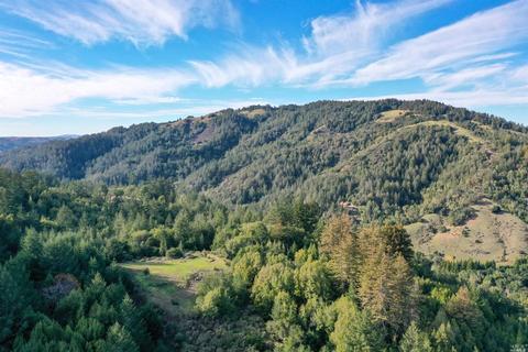 5760 Lucas Valley Rd, Nicasio, CA 94946 photo 17