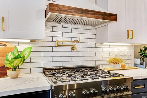 866 Mcfarlane Ave, Sebastopol, CA 95472 photo 18