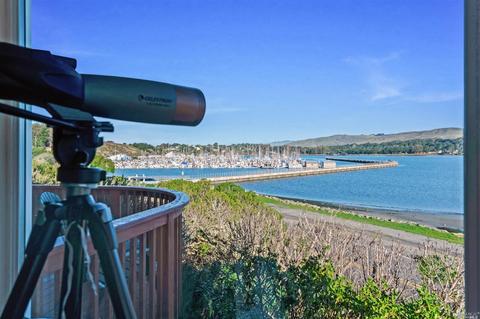 1981 Westshore Rd, Bodega Bay, CA 94923 photo 25