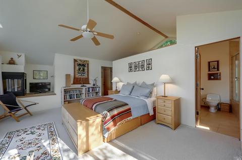 46 Crest Rd, Fairfax, CA 94930 photo 17