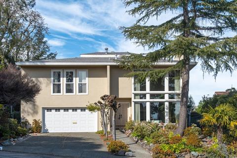 196 Esmeyer Dr, San Rafael, CA 94903 photo 1