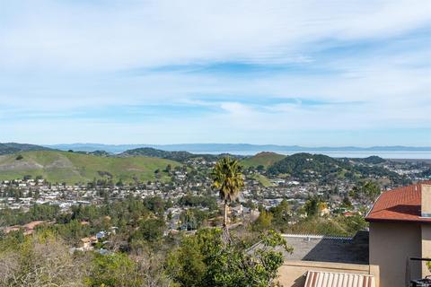 196 Esmeyer Dr, San Rafael, CA 94903 photo 28