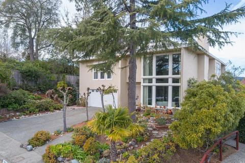 196 Esmeyer Dr, San Rafael, CA 94903 photo 35