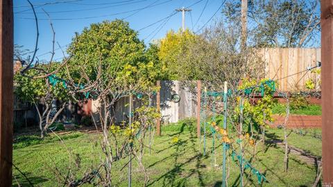 920 Mini Dr, Vallejo, CA 94589 photo 12