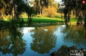 4223 Rose Arbor Way, Vallejo, CA 94591 photo 81