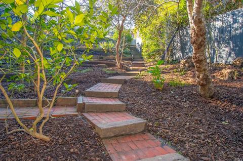 172 Lark Ln, Mill Valley, CA 94941 photo 30