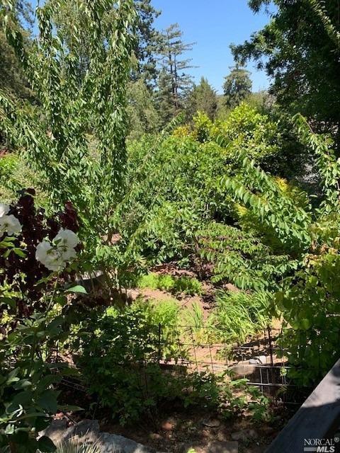 172 Lark Ln, Mill Valley, CA 94941 photo 48