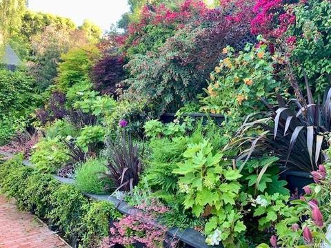 172 Lark Ln, Mill Valley, CA 94941 photo 61
