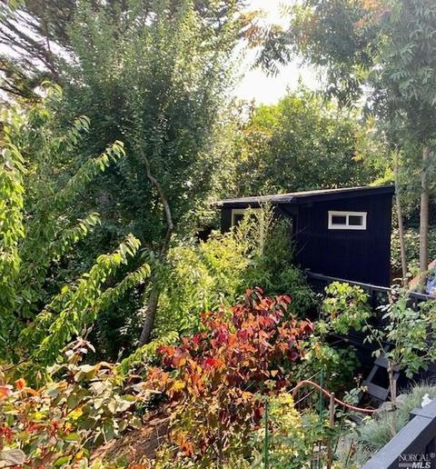 172 Lark Ln, Mill Valley, CA 94941 photo 39