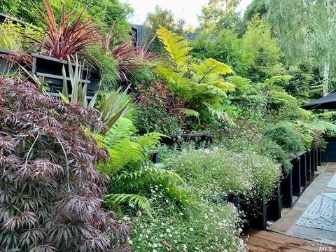 172 Lark Ln, Mill Valley, CA 94941 photo 60
