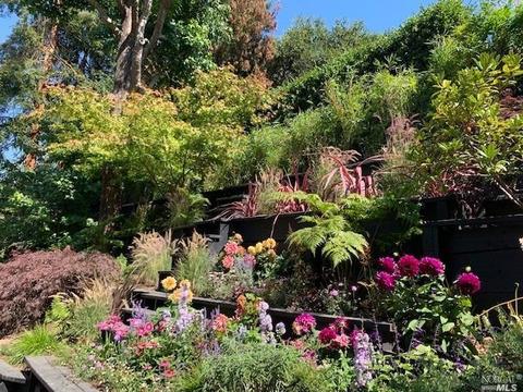 172 Lark Ln, Mill Valley, CA 94941 photo 42