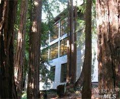 172 Lark Ln, Mill Valley, CA 94941 photo 68