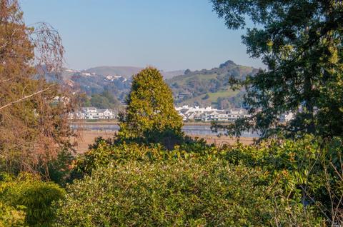 172 Lark Ln, Mill Valley, CA 94941 photo 35