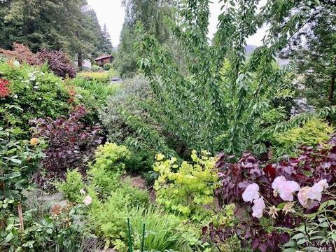172 Lark Ln, Mill Valley, CA 94941 photo 64