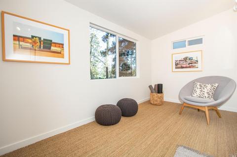 172 Lark Ln, Mill Valley, CA 94941 photo 28