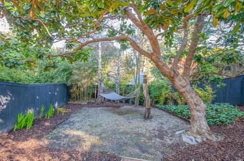 172 Lark Ln, Mill Valley, CA 94941 photo 29