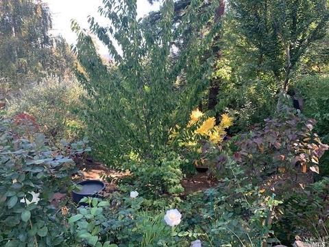 172 Lark Ln, Mill Valley, CA 94941 photo 65