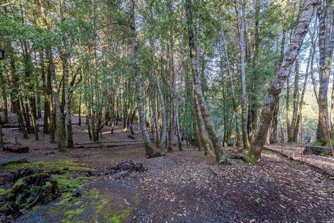 25855 Bear Ln, Willits, CA 95490 photo 22