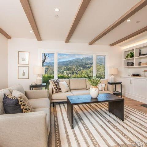 315 Hillside Ave, Mill Valley, CA 94941 photo 17