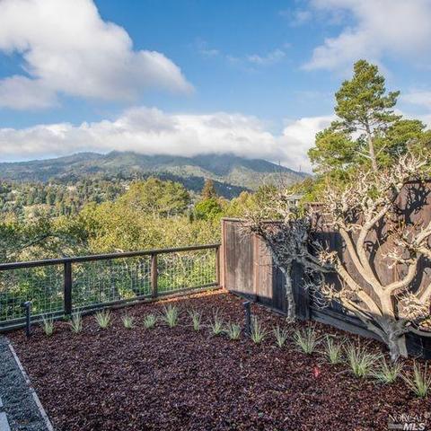 315 Hillside Ave, Mill Valley, CA 94941 photo 29