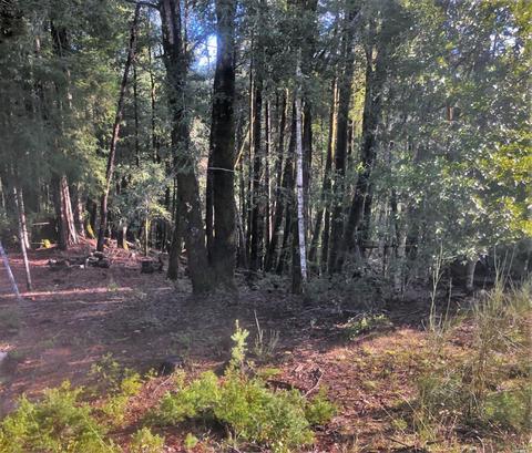 25767 Bear Ln, Willits, CA 95490 photo 1