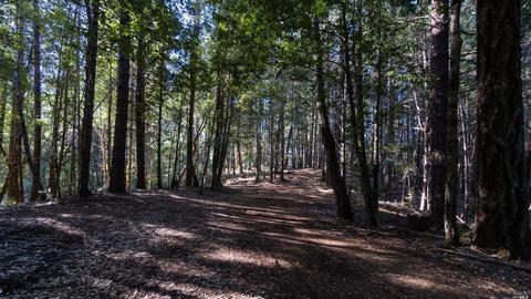 17700 N Highway 101, Willits, CA 95490 photo 6