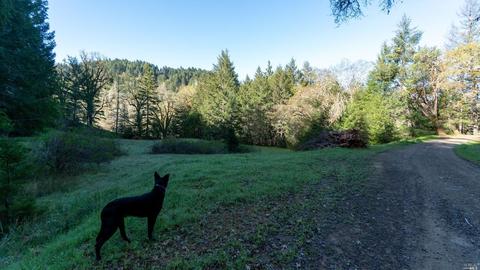 17700 N Highway 101, Willits, CA 95490 photo 8