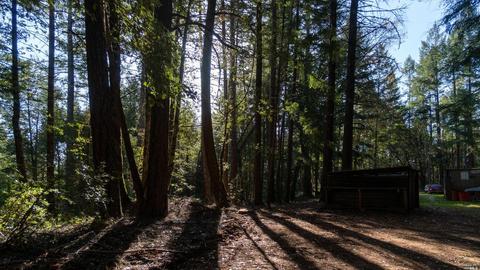 17700 N Highway 101, Willits, CA 95490 photo 7