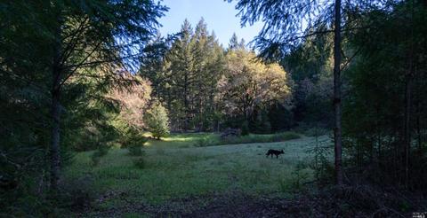 17700 N Highway 101, Willits, CA 95490 photo 14