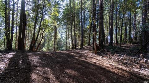 17700 N Highway 101, Willits, CA 95490 photo 10