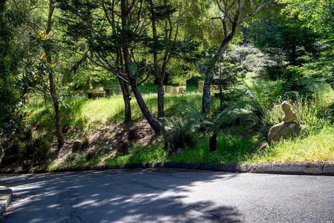 835 Smith Rd, Mill Valley, CA 94941 photo 60