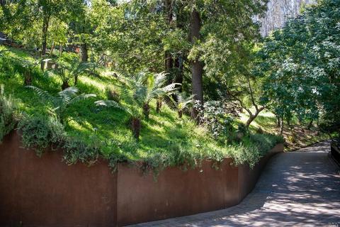 835 Smith Rd, Mill Valley, CA 94941 photo 55