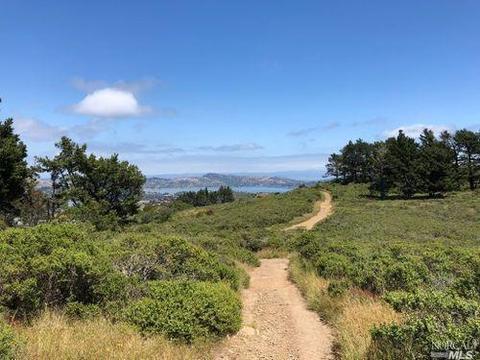 835 Smith Rd, Mill Valley, CA 94941 photo 63