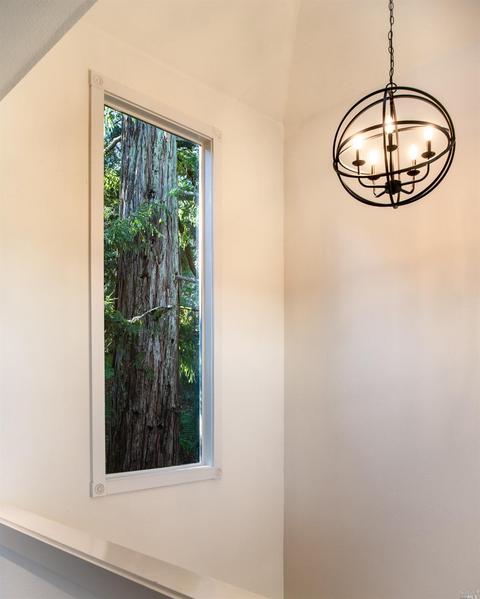 835 Smith Rd, Mill Valley, CA 94941 photo 39