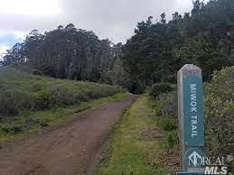 835 Smith Rd, Mill Valley, CA 94941 photo 62