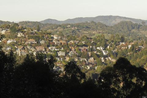 835 Smith Rd, Mill Valley, CA 94941 photo 11