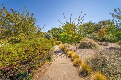 677 Crocus Dr, Sonoma, CA 95476 photo 20
