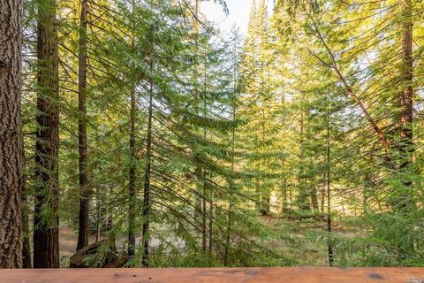 24334 Birch Dr, Willits, CA 95490 photo 50