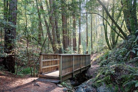 347 Starling Rd, Mill Valley, CA 94941 photo 35