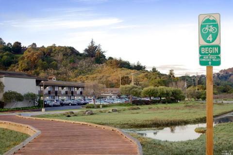 347 Starling Rd, Mill Valley, CA 94941 photo 45