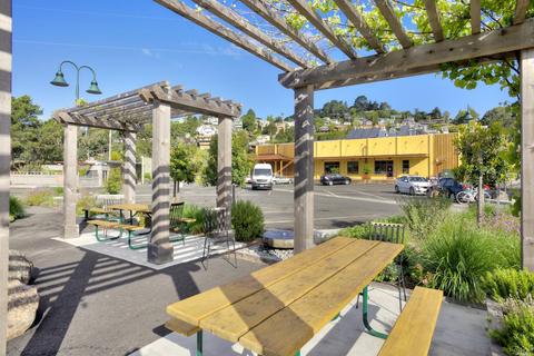 347 Starling Rd, Mill Valley, CA 94941 photo 64