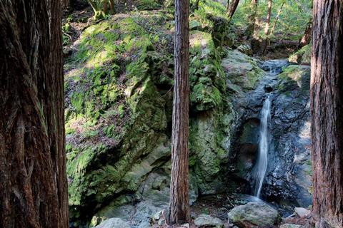 347 Starling Rd, Mill Valley, CA 94941 photo 36