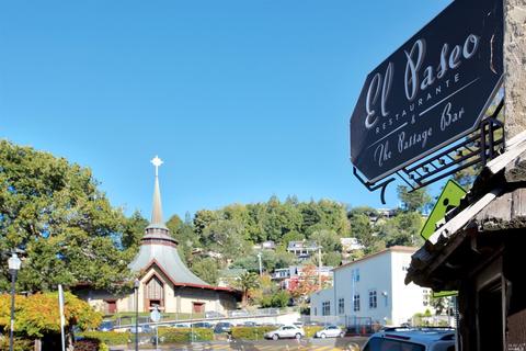 347 Starling Rd, Mill Valley, CA 94941 photo 43