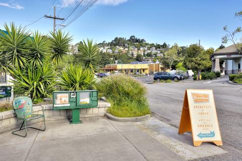 347 Starling Rd, Mill Valley, CA 94941 photo 59