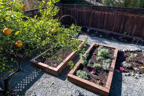 1105 High Ct, Berkeley, CA 94708 photo 42